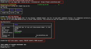 Test the Salesforce connection